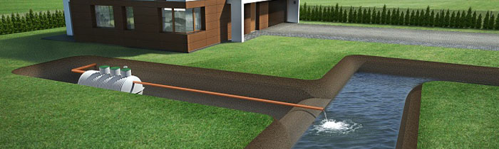 Biologiczni Rzetelny Montaż Podgląd 1