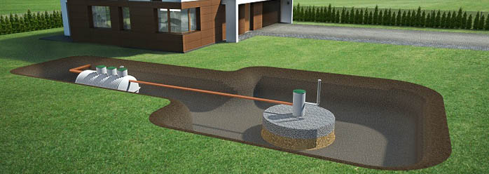 Biologiczni Rzetelny Montaż Podgląd 2