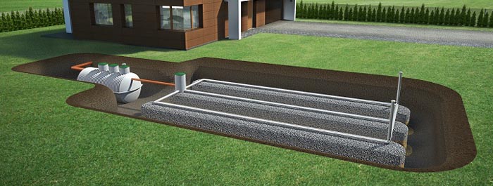 Biologiczni Rzetelny Montaż Podgląd 3