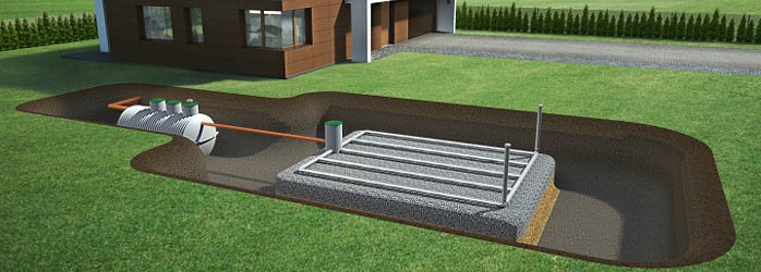 Biologiczni Rzetelny Montaż Podgląd 4