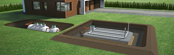 Biologiczni Rzetelny Montaż Podgląd 5